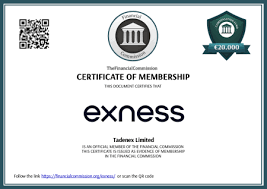 Exploring Exness Forex Broker for Effective Trading