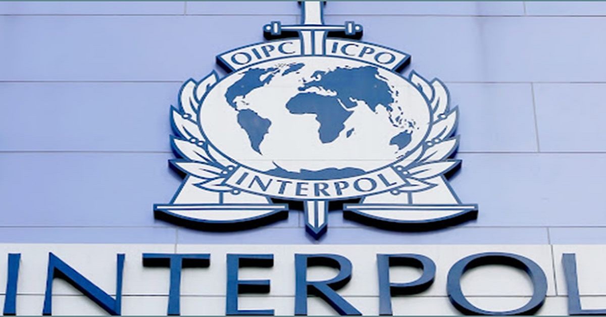 Understanding Legal Protections Against Interpol Errors 363520547 Understanding Legal Protections Against Interpol Errors 363520547